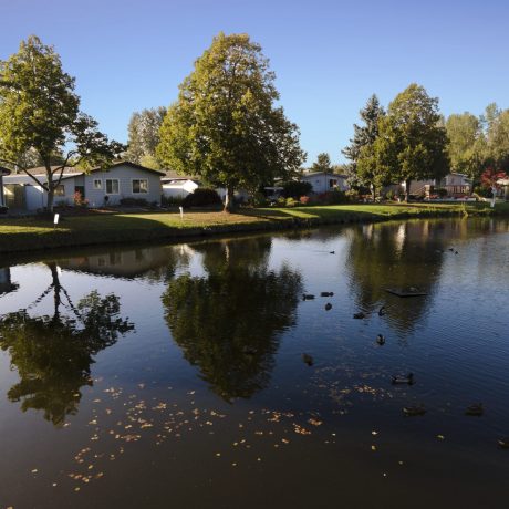 Park Village Pond and homes